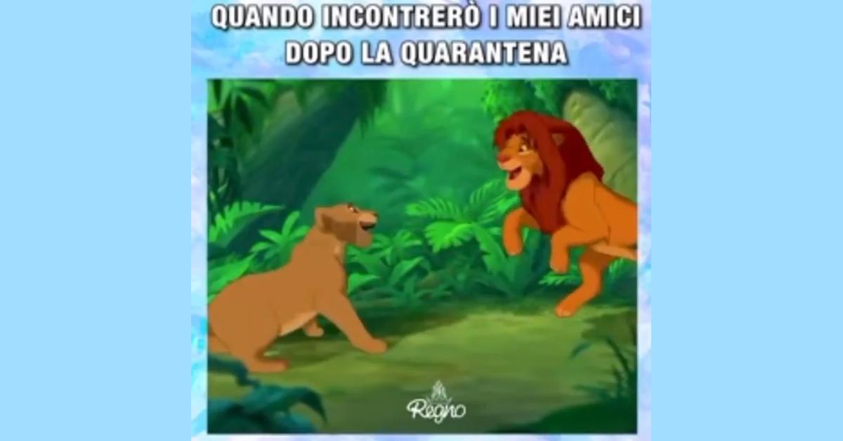 quarantine meme lion king