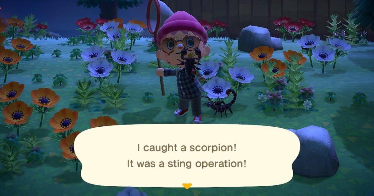 When Do Scorpions Come out on 'ACNH'? An 'Animal Crossing' Guide