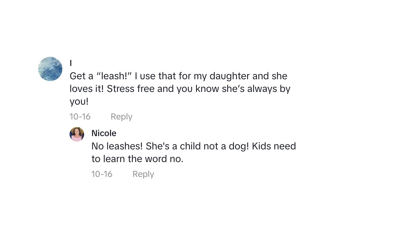 A commenter recommending that OP gets a toddler leash