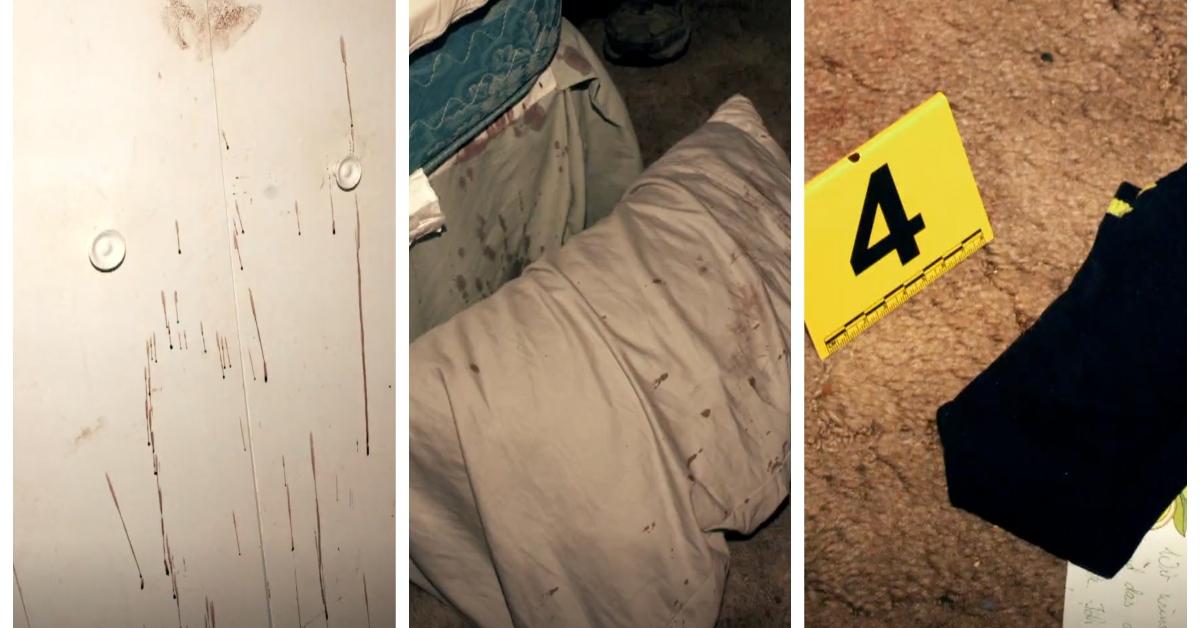 Evidence from Peter and Manuela Allen's house