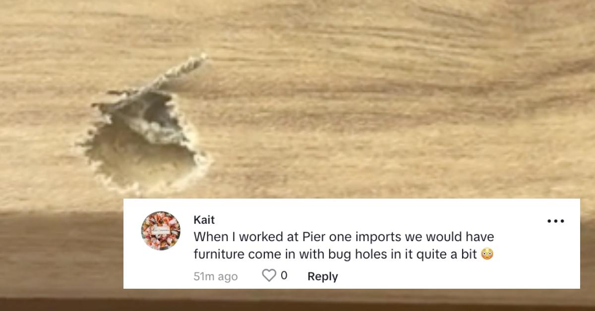 Bug burrows out of woman's brown wooden desk; TikTok commenter says: "When I worked at Pier one imports we would have furniture come in with bug holes in it quite a bit."