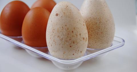turkey-egg-vs-chicken-egg-1574796250129.jpg