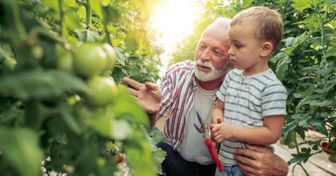 grandfather-and-grandson-in-greenhouse-picture-id998715988-1558539509950.jpg