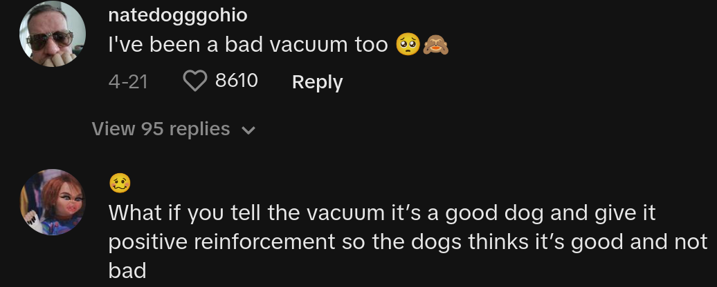 dog owner yells at vacuum tiktok