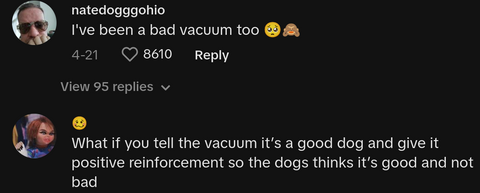 dog owner yells at vacuum tiktok