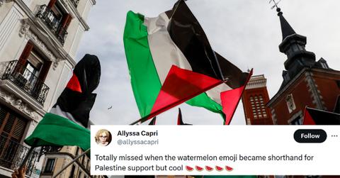 Watermelon Emoji Meaning Palestine