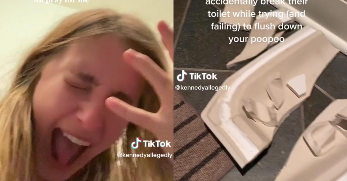 Woman "Destroys" Boyfriend’s Toilet After Flying Across Country to Meet His Family for the First Time