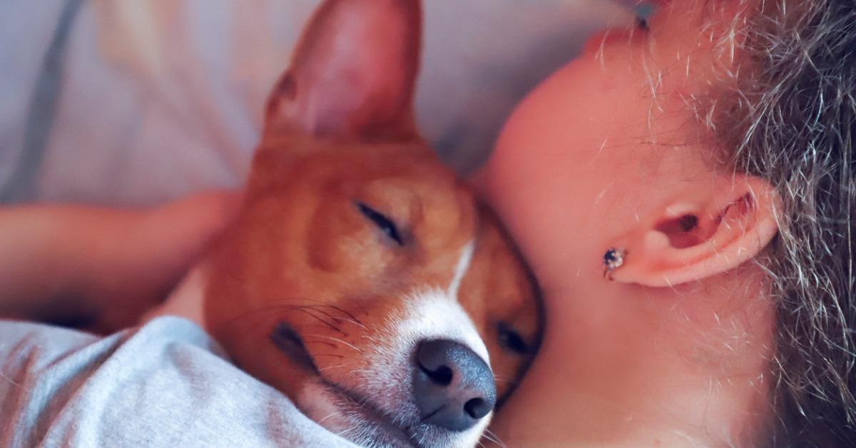 the girl hugs the basenji dog toned close up picture id