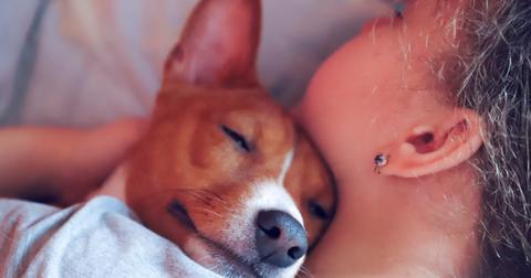 the-girl-hugs-the-basenji-dog-toned-close-up-picture-id905990080-1555682375340.jpg
