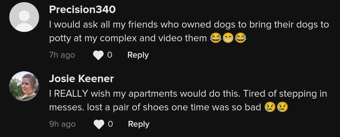 dog poop snitching videos