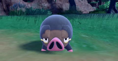 Lechonk from 'Pokémon Scarlet' and 'Pokémon Violet'