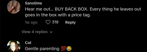 TikTok comment