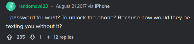 brother sister phone thief