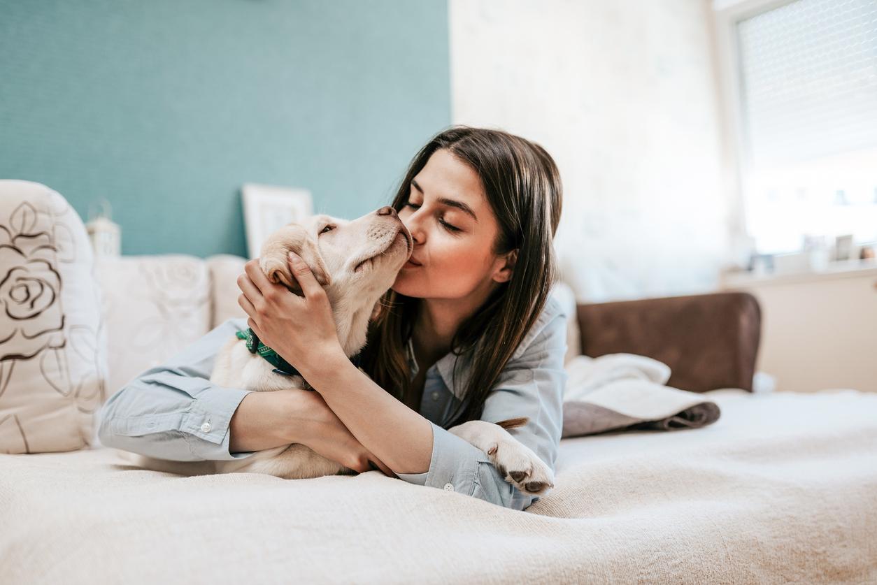 kissing dogs