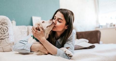 1-kissing-dogs-1563467067357.jpg