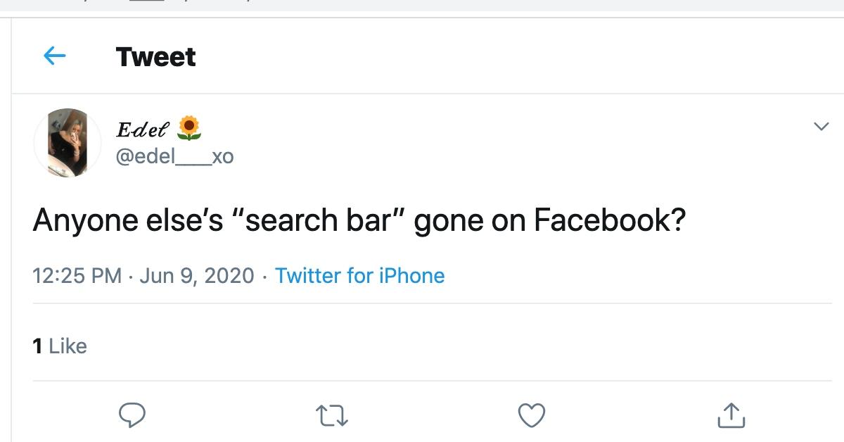 facebook search bar