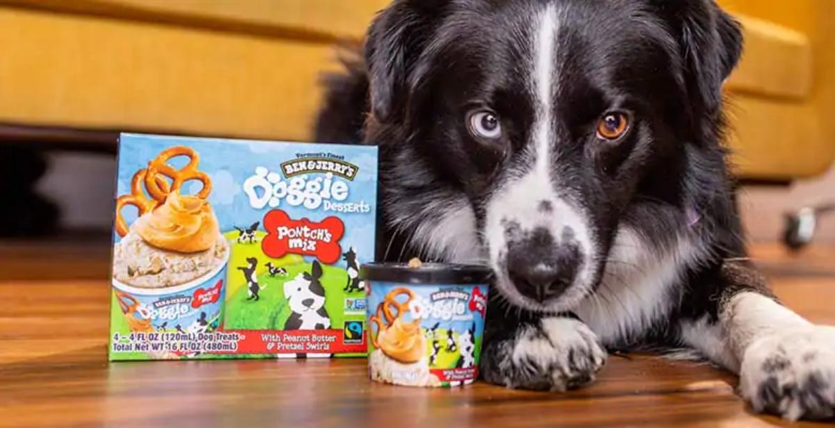 ben jerrys ice cream dogs