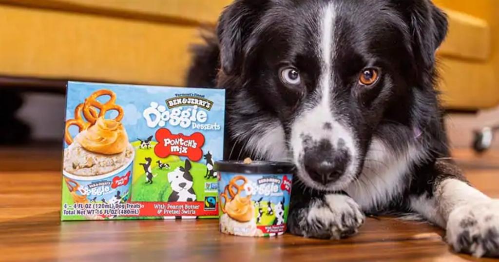 Ben & Jerry's Releases Ice Cream for Dogs With Two Flavors to Buy