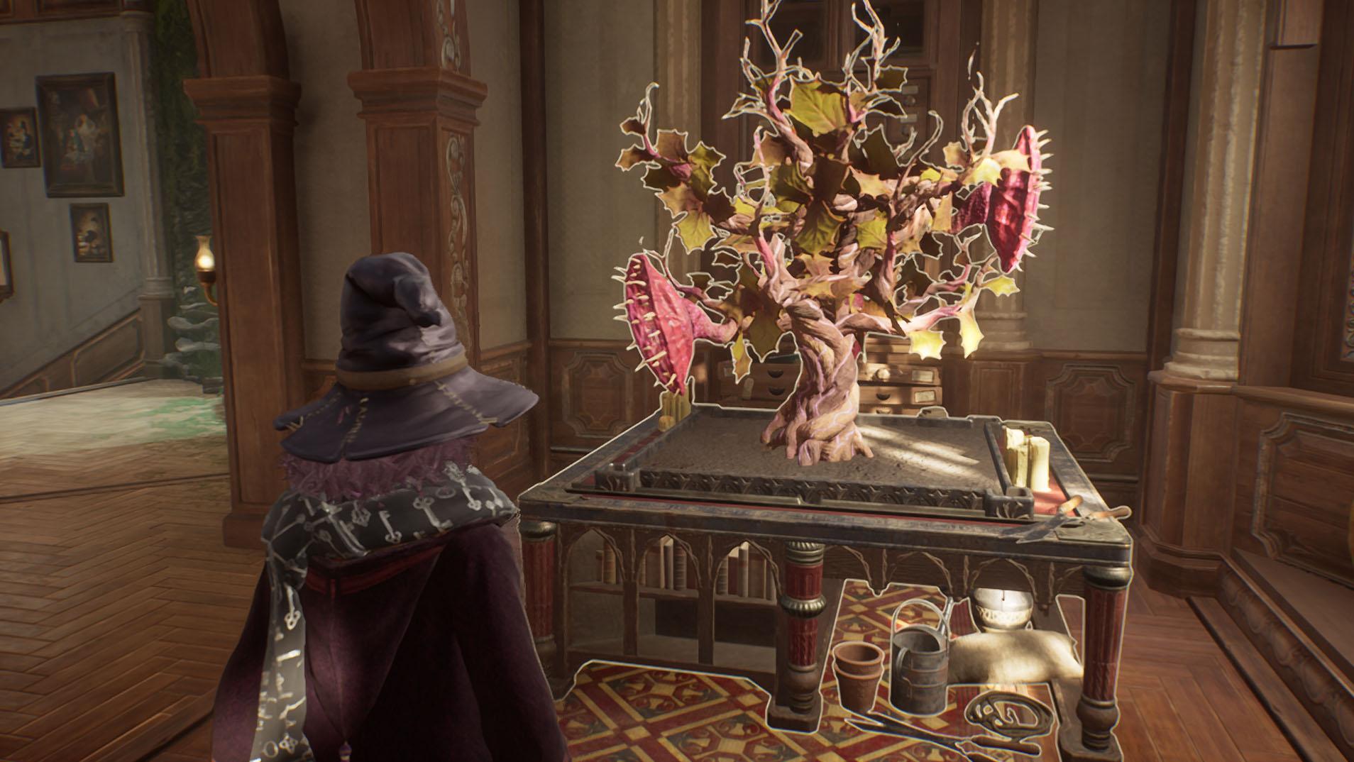 Player preparing to harvest a big plant in 'Hogwarts Legacy.'