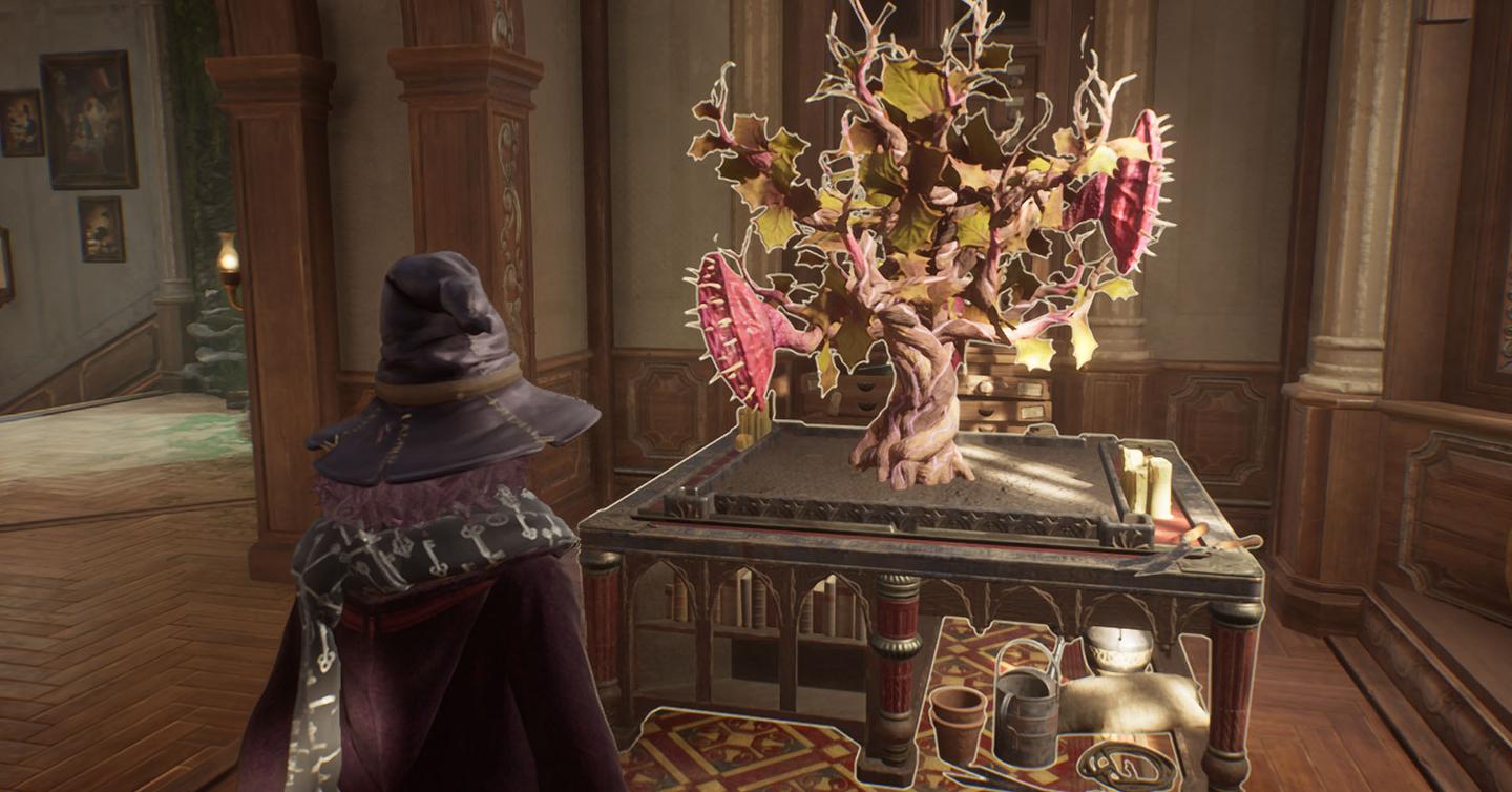 How to Get a Bigger Pot in Hogwarts Legacy