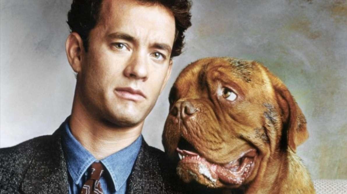 turner and hooch