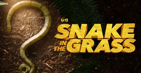 'Snake in the Grass'