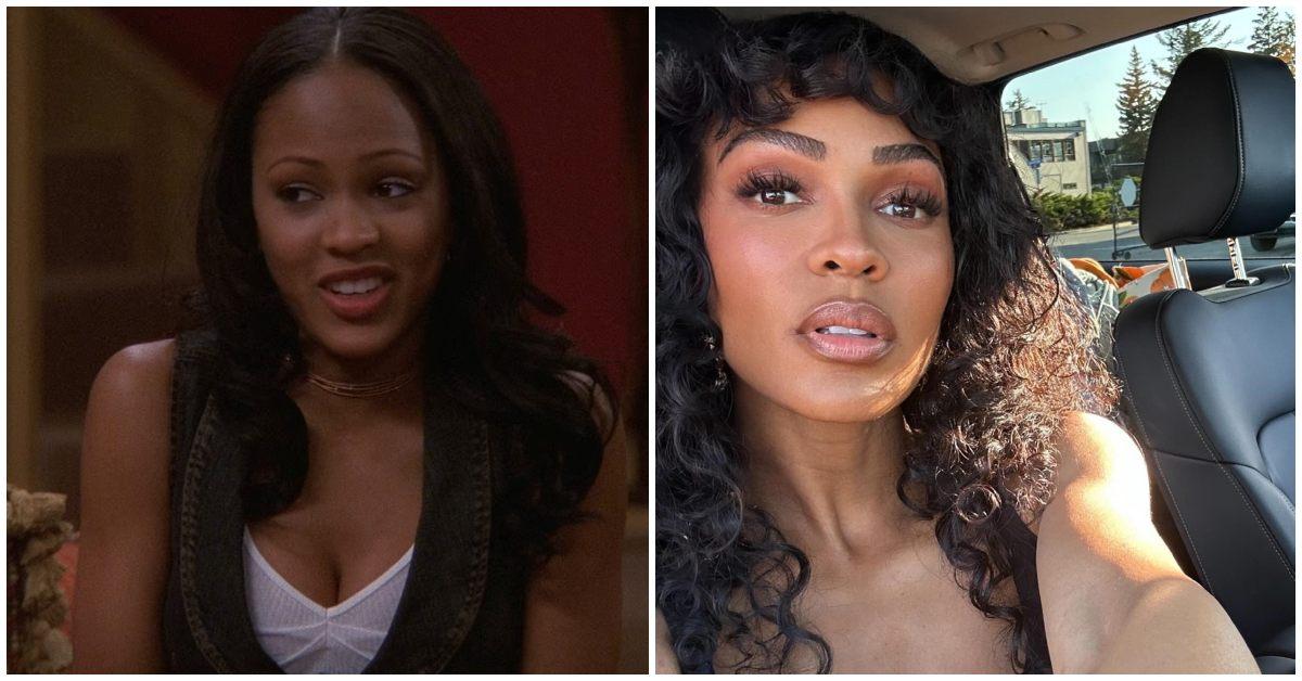 my wife and kids cast meagan good