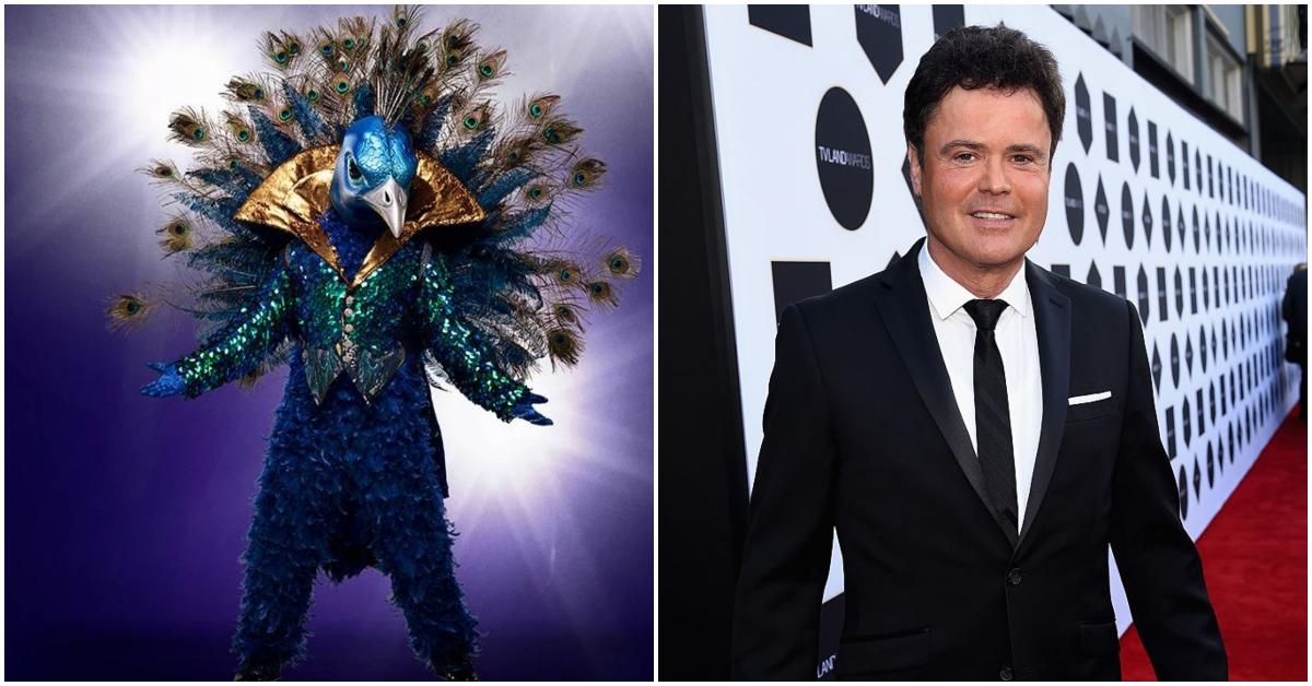 masked singer peacock donny osmond