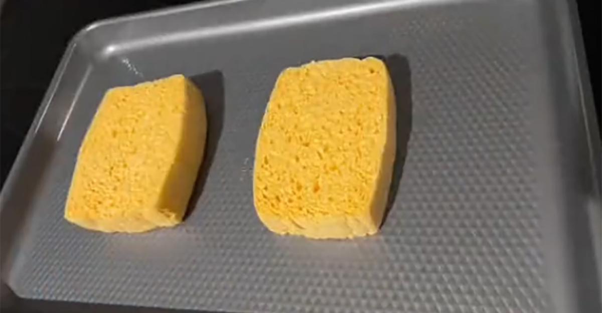 Sponges on an oven pan