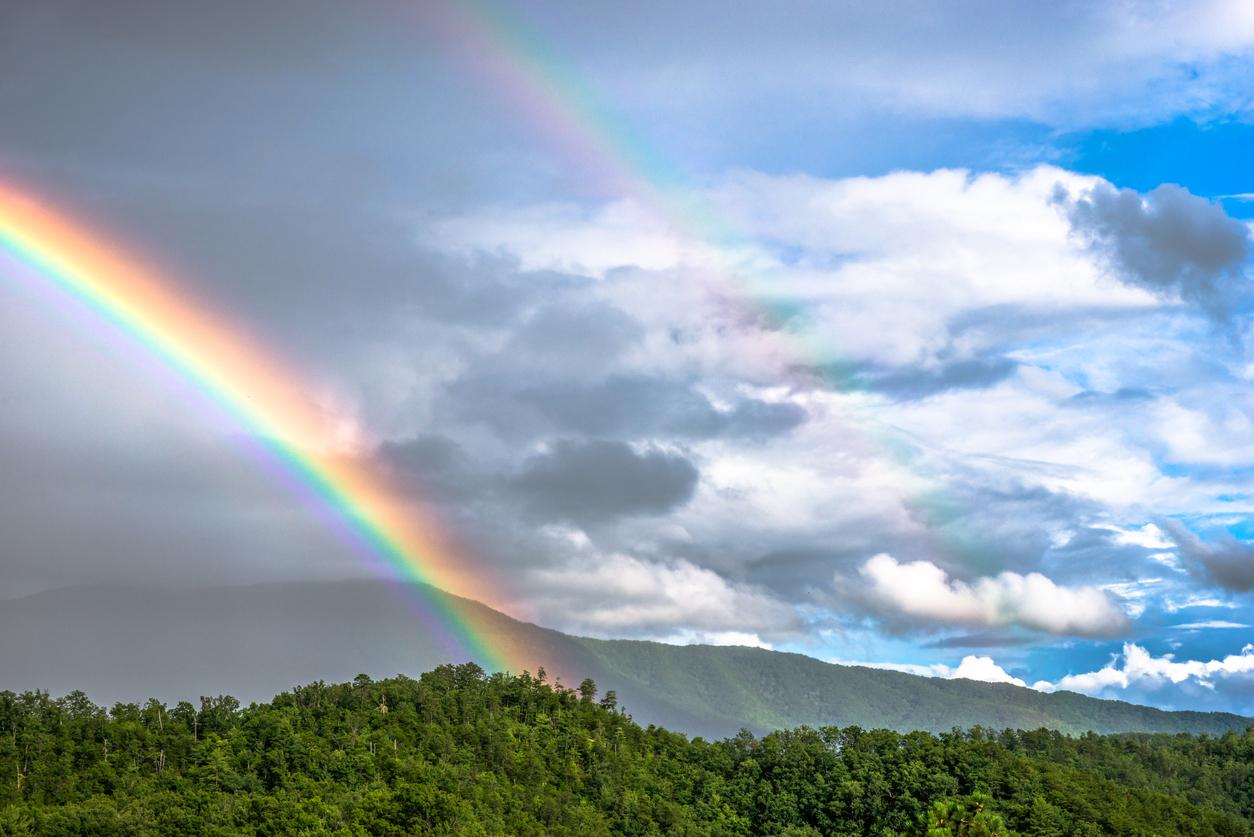 mamone queer appalachia