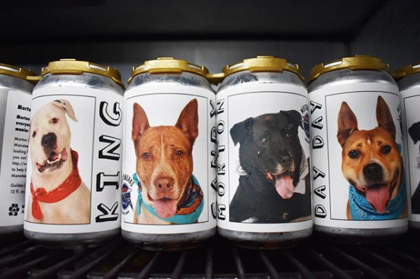 1-lost-dog-beer-can-1581011317018.jpg