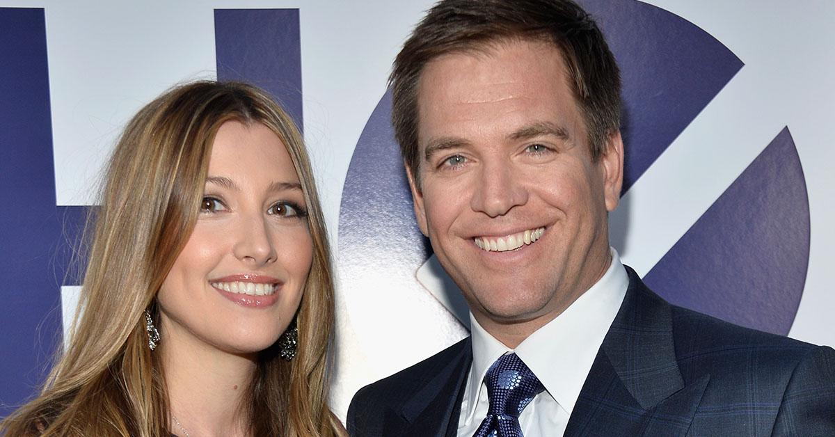 Is Michael Weatherly Married Meet His Successful Wife Bojana Jankovic