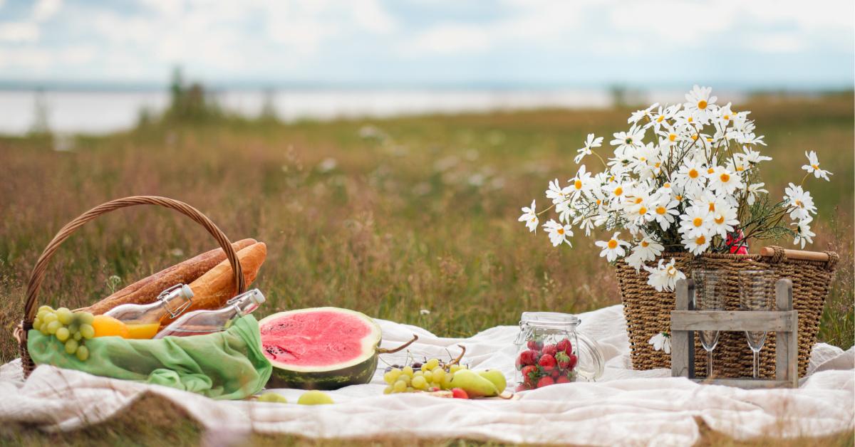 Пикник на поле с ромашками