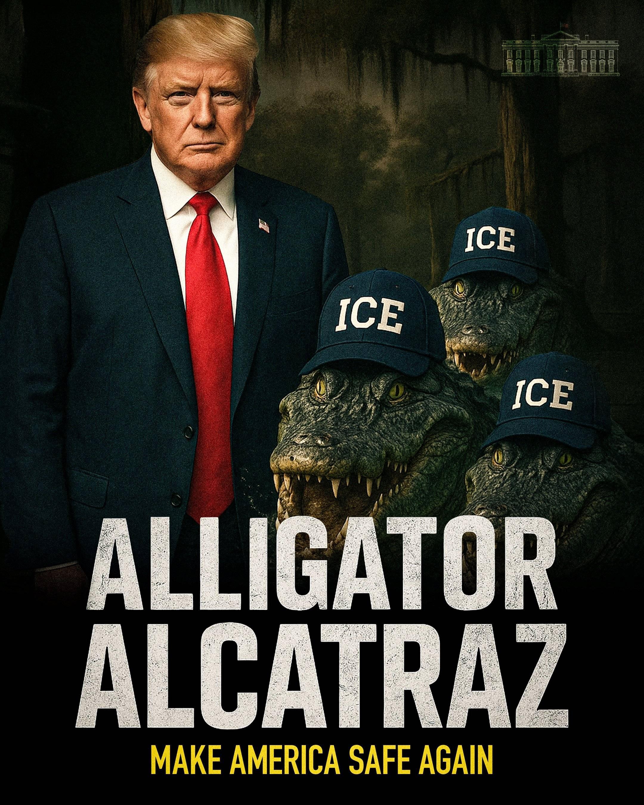 The White House's Alligator Alcatraz meme.