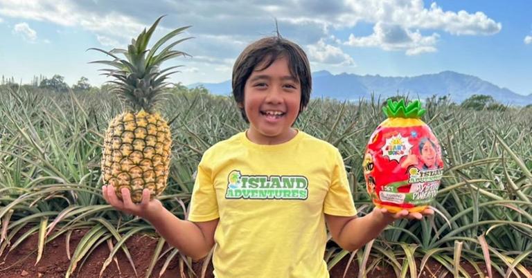 Did the Ryan's World Parents Get a Divorce? Details