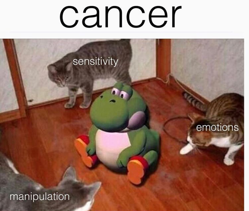 cancer meme