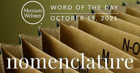 merriam-webster "nomenclature" graphic