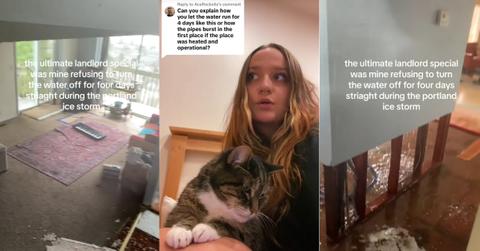 Portland Ice Storm Nightmare Landlord