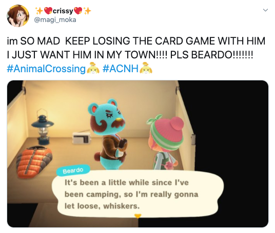 Here S How To Win The Card Game In Acnh And Get New Neighbors - basket camping roblox