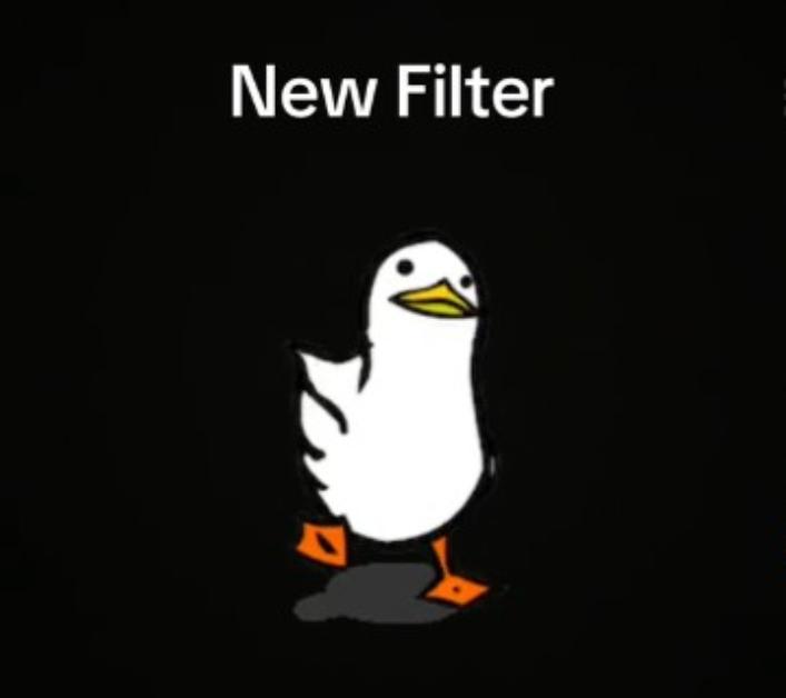 TikTok's corrected Duck Filter