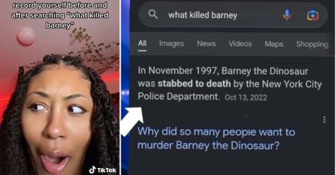 what killed barney tiktok trend