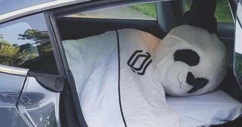 Who Is Stephanie Soo's Husband? The Man Behind the Panda Mask