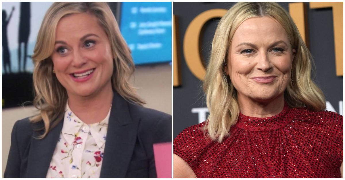 Age Of Amy Poehler