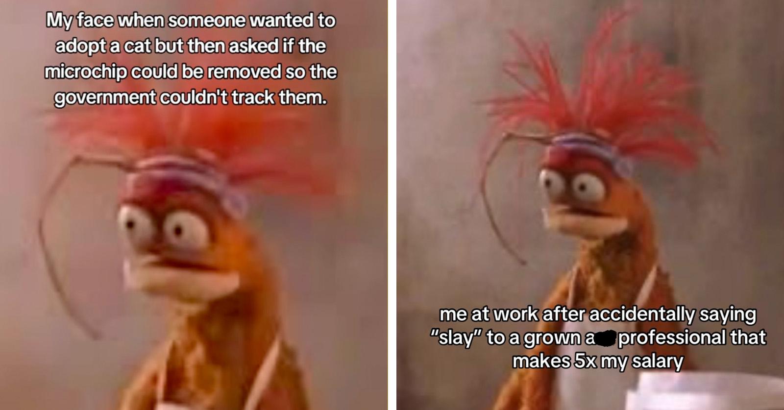 pepe the king prawn meme