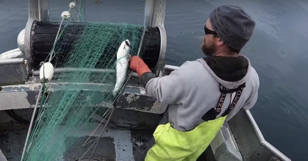 Fishing on 'Port Protection Alaska'