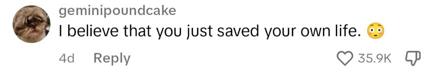 A commenter saying, "I believe that you just saved your own life."