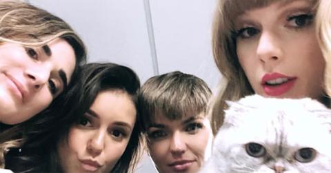 Taylor Swift and friends with one of her cats.