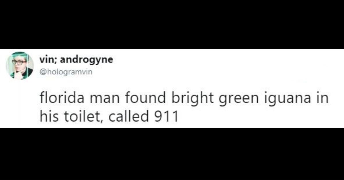 florida man tweet