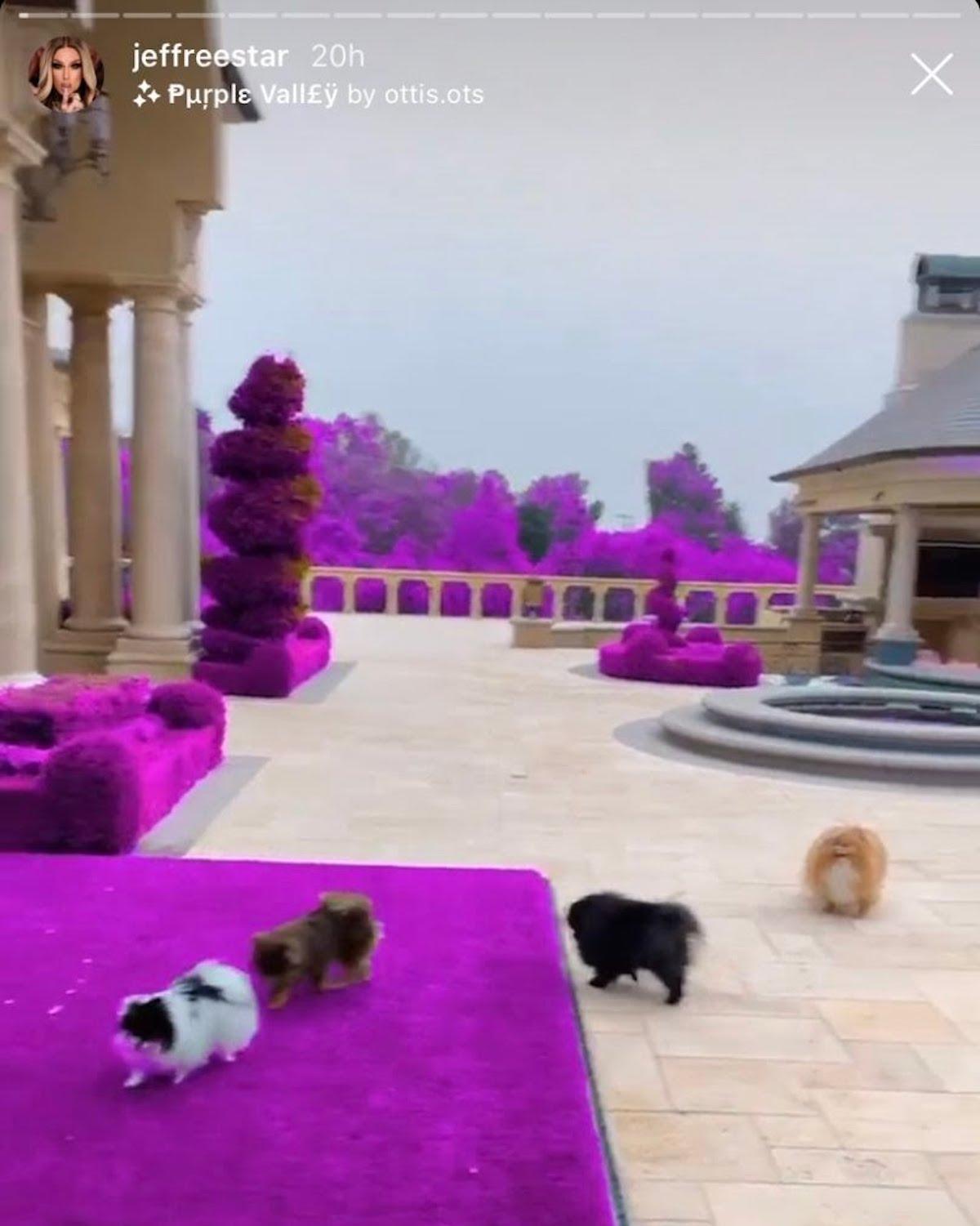 Jeffree Star's Purple Backyard Has Seriously Confused His Followers