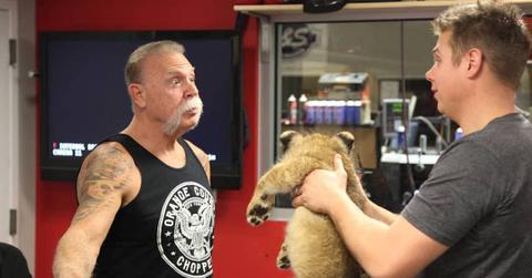 jason american chopper